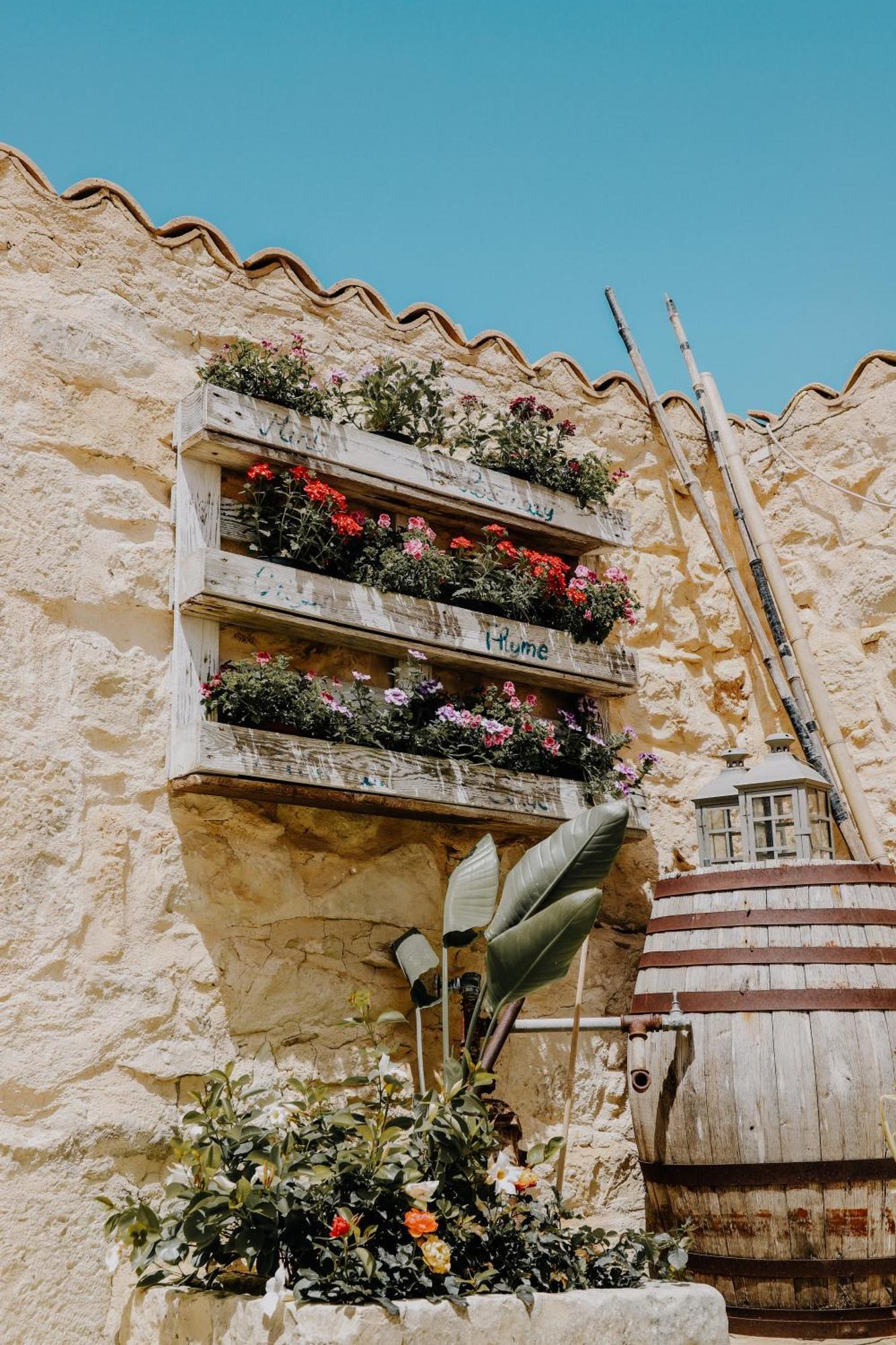 Balcone Mediterraneo - Donnalucata & Marina Di Ragusa Eksteriør billede